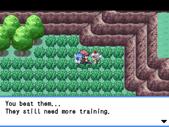 gn_enbu_ss210.png