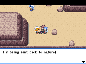 gn_enbu_ss269.png