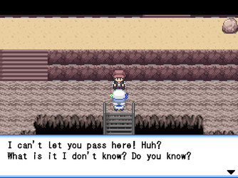 gn_enbu_ss272.png