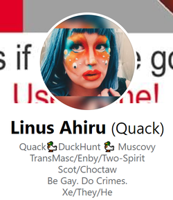 ahiru.png