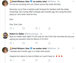 you literally just said you would never vote for him.png