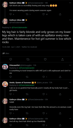Screenshot 2021-06-07 at 14-27-02 Kathryn Gibes 🏳️‍⚧️ ✨ on Twitter.png