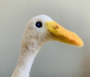 thonkdonk.JPG