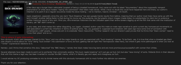FireShot Capture 1481 - _b_ - A few days ago a burger black nationalist (suspect of being a _ ...png