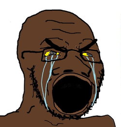 1623185926244.jpg