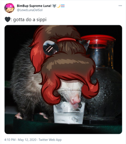 possum.png