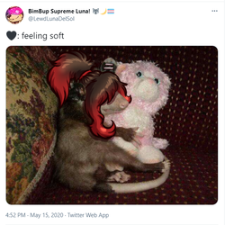 possum2.png