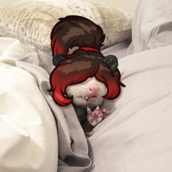 possum3.png
