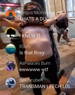 roxynebulastream2.png
