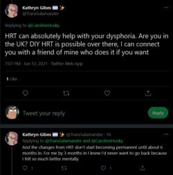 Screenshot 2021-06-12 at 20-39-39 Kathryn Gibes 🏳️‍⚧️ ✨ on Twitter.png