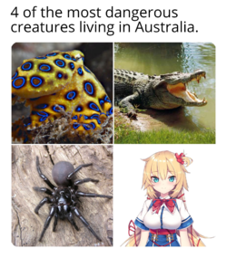 1623555617796.png