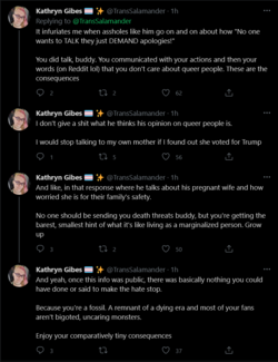 Screenshot 2021-06-13 at 18-34-13 Kathryn Gibes 🏳️‍⚧️ ✨ on Twitter.png