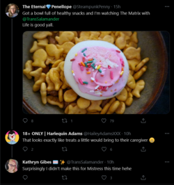 Screenshot 2021-06-13 at 18-35-36 Tweets with replies by Kathryn Gibes 🏳️‍⚧️ ✨ ( TransSalamand...png