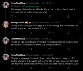Screenshot 2021-06-13 at 22-28-23 Kathryn Gibes 🏳️‍⚧️ ✨ on Twitter.png