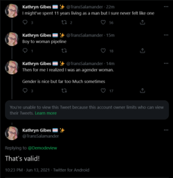 Screenshot 2021-06-13 at 22-29-39 Kathryn Gibes 🏳️‍⚧️ ✨ on Twitter.png