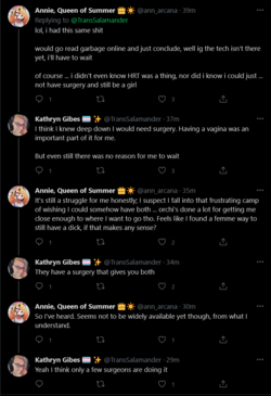 Screenshot 2021-06-13 at 22-30-22 Kathryn Gibes 🏳️‍⚧️ ✨ on Twitter.png