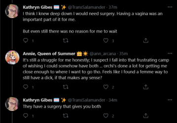 Screenshot 2021-06-13 at 22-30-22 Kathryn Gibes 🏳️_⚧️ ✨ on Twitter__01.png