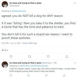 1623695774408.png