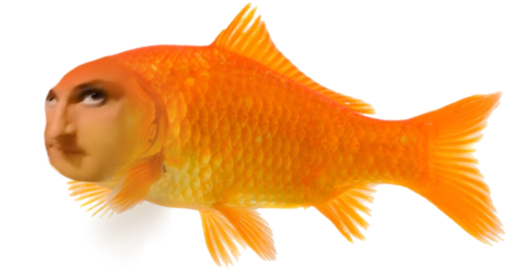 fish.png