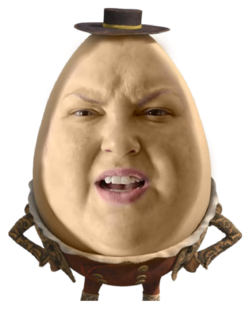 IMG_8554.PNG
