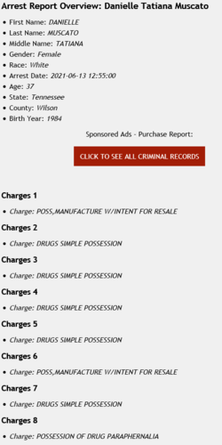 dave arrest 1.png
