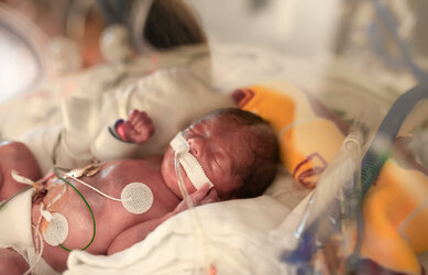 238597-1600x1030-baby-born-at-29-weeks.jpg