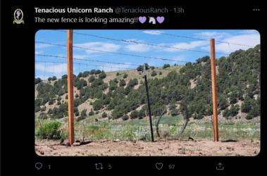 fence line.png