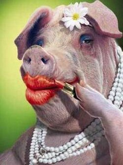 piggy (1).jpg