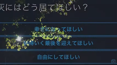 Untitled.png