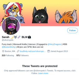 SilverSpots.png