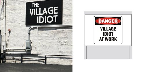 village idiot.jpg