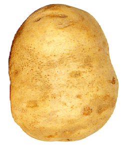 1624369959061.png
