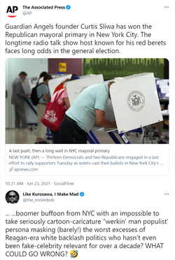 NYC Mayoral Primary.png