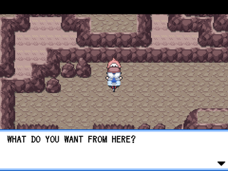 gn_enbu_ss034.png