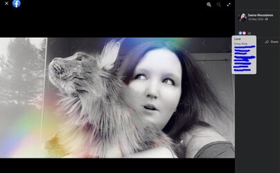 3E95CC35-4B88-447F-BDF5-A73BBD7617E2.jpeg
