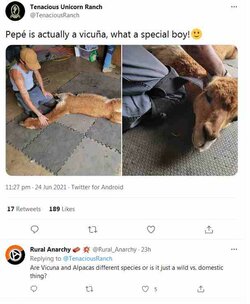 untitled1.jpg