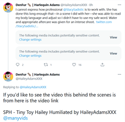 trannyporn.png