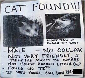 found.jpg