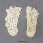 product-467-main-original-1415039869.jpg