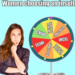 femoid-insults.png