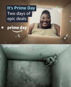 box.png