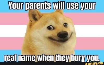 db34bf8ebeabab4022a557682546074dcf8778d42000e4dcc90dc50ffb61aa8b_1.jpg