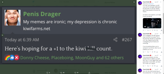 kiwifarmsweebwars2.png