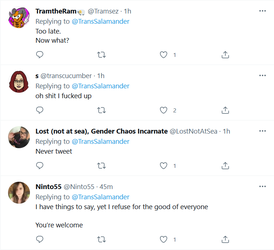 nevertweet2.png