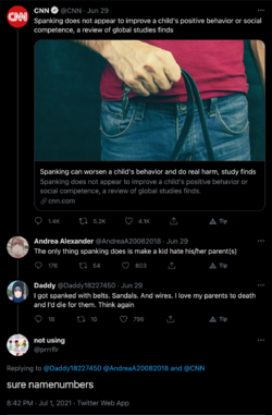 screencapture-twitter-prrrflr-status-1410775923570393089-2021-07-01-23_24_17.png