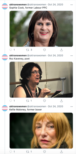 stunning and brave deviants UK 4.png