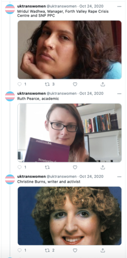 stunning and brave deviants UK 9.png
