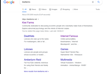 Screenshot 2021-07-02 at 23-51-42 kiwifarms - Google Search.png