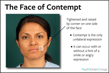 faceofcontempt.png