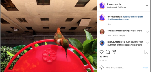 instagram.png